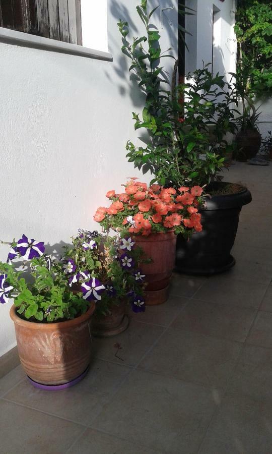 Αmmos Rooms Palaiochora Luaran gambar