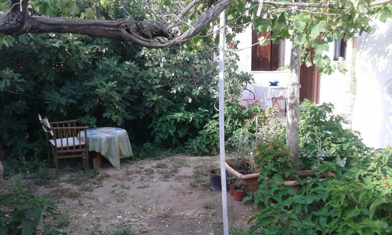 Αmmos Rooms Palaiochora Luaran gambar