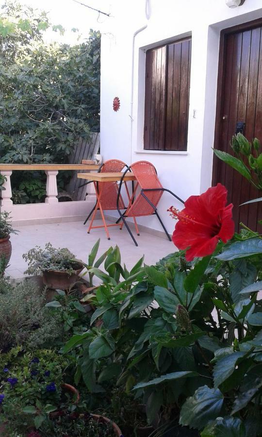 Αmmos Rooms Palaiochora Luaran gambar